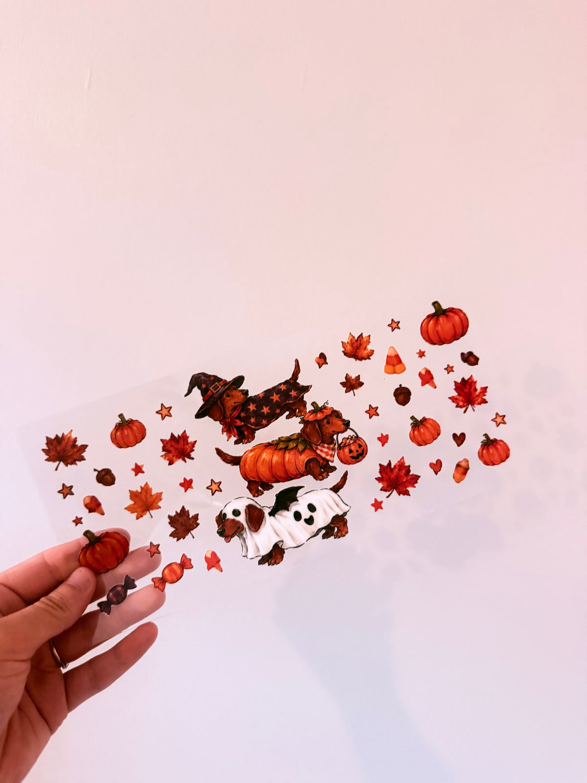 Autumn dogs