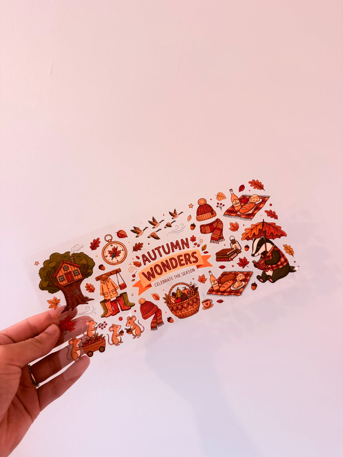 Autumn wonders