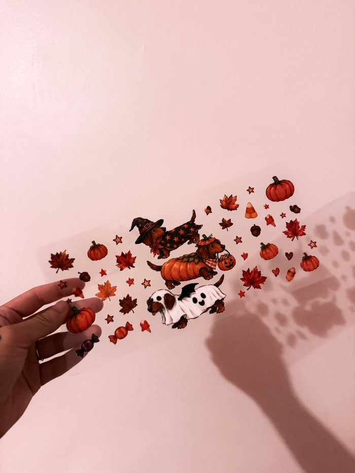 Animals